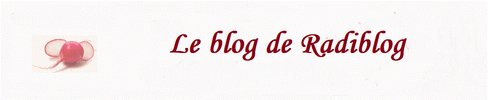 Le blog de Radiblog
